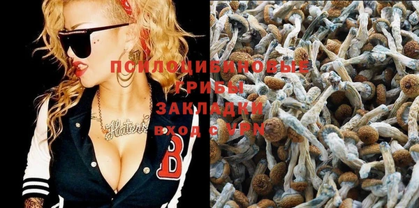 прущая мука Баксан