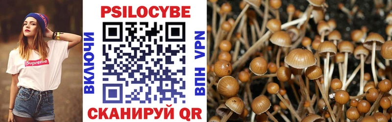 Галлюциногенные грибы Psilocybine cubensis  Купить где  Лобня 